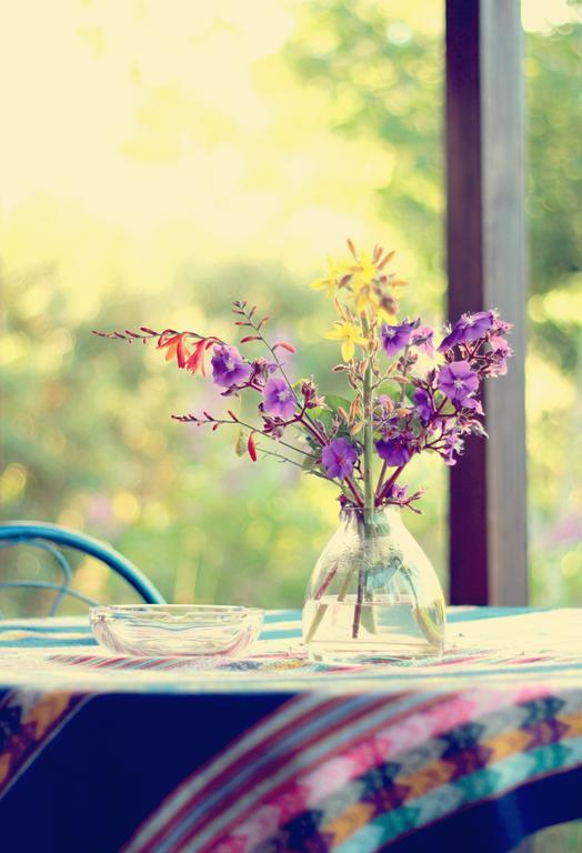 Pear Tree Cottage ستورمزريفير المظهر الخارجي الصورة